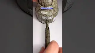 Setting up the Reolink Keen Ranger Camera Available here: https://reolink.com/?aff=196 #reolink
