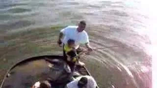 crabbibg