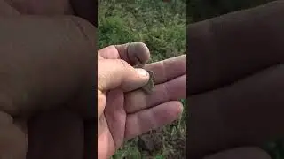 Старинный крестик лепесток 