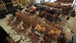 LINHA DE TORNO LAMINADOR 2800MM HIGH SPEED | HIGH SPEED VENEER PEELING LINE | VANTEC MÁQUINAS