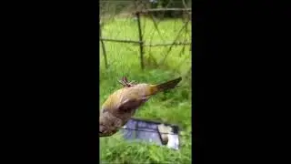 Отзыв о сети 75д