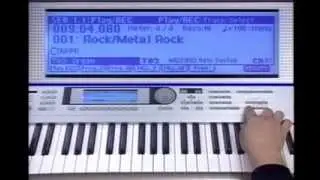 Korg Triton Le