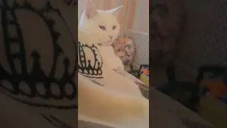 Мои! обе две...