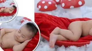 [Clip Ngắn] Sinh Nhật Bé Cò , Lê Thành An