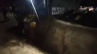 31 января 2021 г.