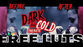 GET DARK AND COLD CINEMATIC With Free Lut Pack for Premier pro, Filmora, Final Cut Pro, etc 2020