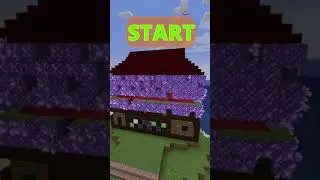 Minecraft Can You Spot Them