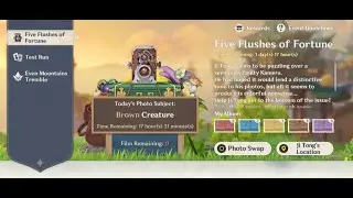 How to get Photo Subject Brown Creature 6th day in Genshin Impact
