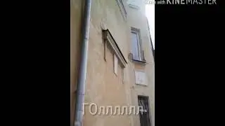 ГОЛллл