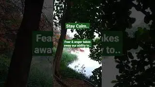 Stay Calm.. Fear & anger takes away your abilit.. #motivation #happiness #motivational #life #goals