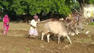 Rajasthani jeevan shaili राजस्थानी जीवन शैली