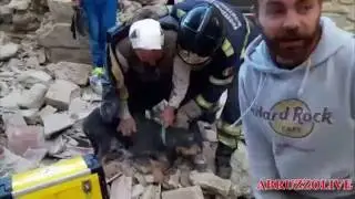 Terremoto Amatrice, cagnolino estratto dalle macerie...