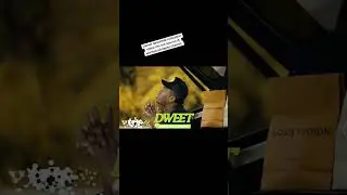 Valiant-Dweet(Official Video Mix)