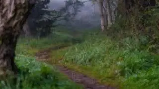 Levitų Knyga - audio Biblija