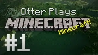 Otter Plays Minecraft - Season 1 Ep. 1 | Explanation