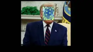 Donald Trump Has . . . .
