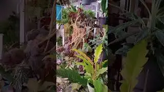 Про стеллажи и освещение.