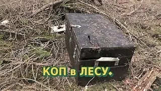КОП в ЛЕСУ.