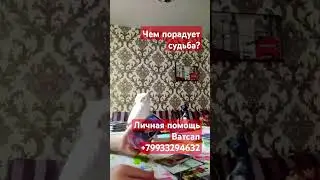 ЧЕМ ПОРАДУЕТ СУДЬБА?#тародня#таросудьбы#таропрогноз#тароонлайн#тарогадания#рек
