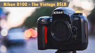 Nikon D100, the Vintage DSLR. Is it still good in 2024??