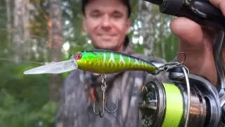 Spin Fishing Made Easy! A Beginner's Guide to Spin Fishing