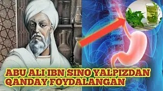 Yalpizning foydali xususiyatlari