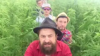 Добраночь - Нормальные Герои