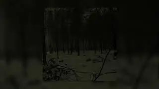 3 years of imprisonment (MARUYAMA, AGLOW Remix Mashup)