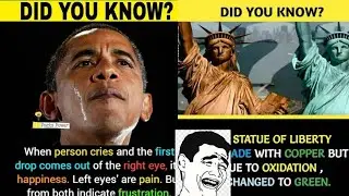 Did you know|fact video|Amazing Facts That You Should Know|Did You Know Facts?|GetsetFlyFact #fact2#