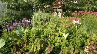 Огород  смешанные посадки.Советы огородникам.