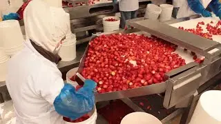 Amazing Machinery  Raspberry Packing line / Strawbberry Packing Line Extremly Perfect !!!