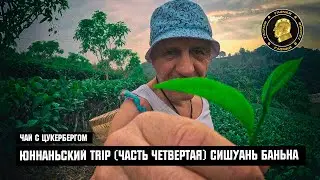 Чай с Цукербергом - ЮННАНЬСКИЙ TRIP ЧАСТЬ ЧЕТВЕРТАЯ «СИШУАНЬ БАНЬНА»