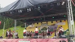 Рожен / 2019
