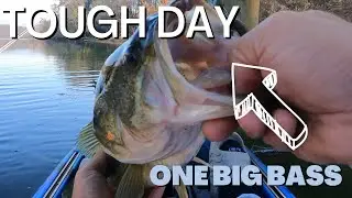 Sometimes You Only Catch One 