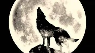 sound wolf