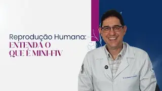 O que é a mini FIV