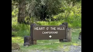 Heart O' the Hills Campground Tour - Olympic National Park June 2024