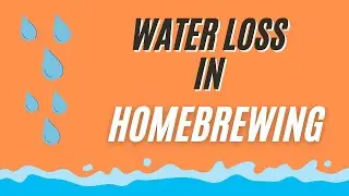 Homebrewing for Beginners: Understanding Water Loss