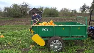 эксперименты с навозником