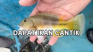Inilah enaknya tinggal di dekat laut