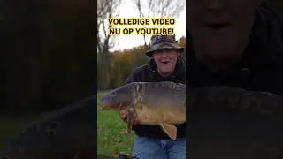 CHAOS OP DE BOSBAAN!🤯 #carpfishing #vissen #karper #shorts