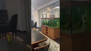 Офис Сетунь 75 кв.м