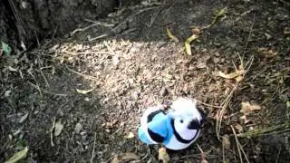 RUN~Part 4