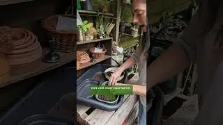 Voorzaaien voor de herfst en winter oogst | Floor Korte