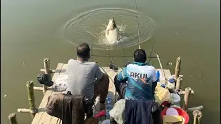 Monster Fish on the Line! 🤯 (You Won't Believe What Happened) 