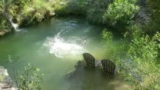 Cool Waterfall 🏊‍♂️ & Swimming Hole Right Behind Our Cabin!