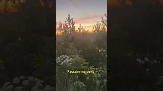 Рассвет на реке #река #рассвет #солнцестояние #магияутра #ольгагромыко #