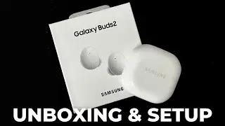 Samsung Galaxy Buds 2 Unboxing & Setup!