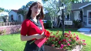 THERESA RYAN - Nobody Does It Anymore (Music Video)