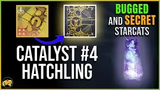 Destiny 2 - SECRET CAT & EMBLEM - Wish-Keeper Catalyst 4 - Constellation: Wish